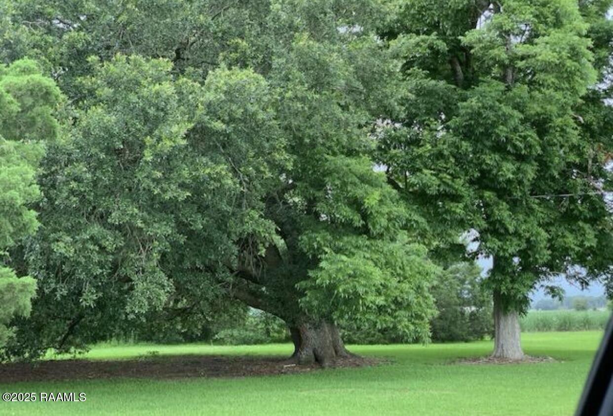 6601 Gondron Road St. Martinville, LA 70582 - Photo 7 of 11 IMG_8074