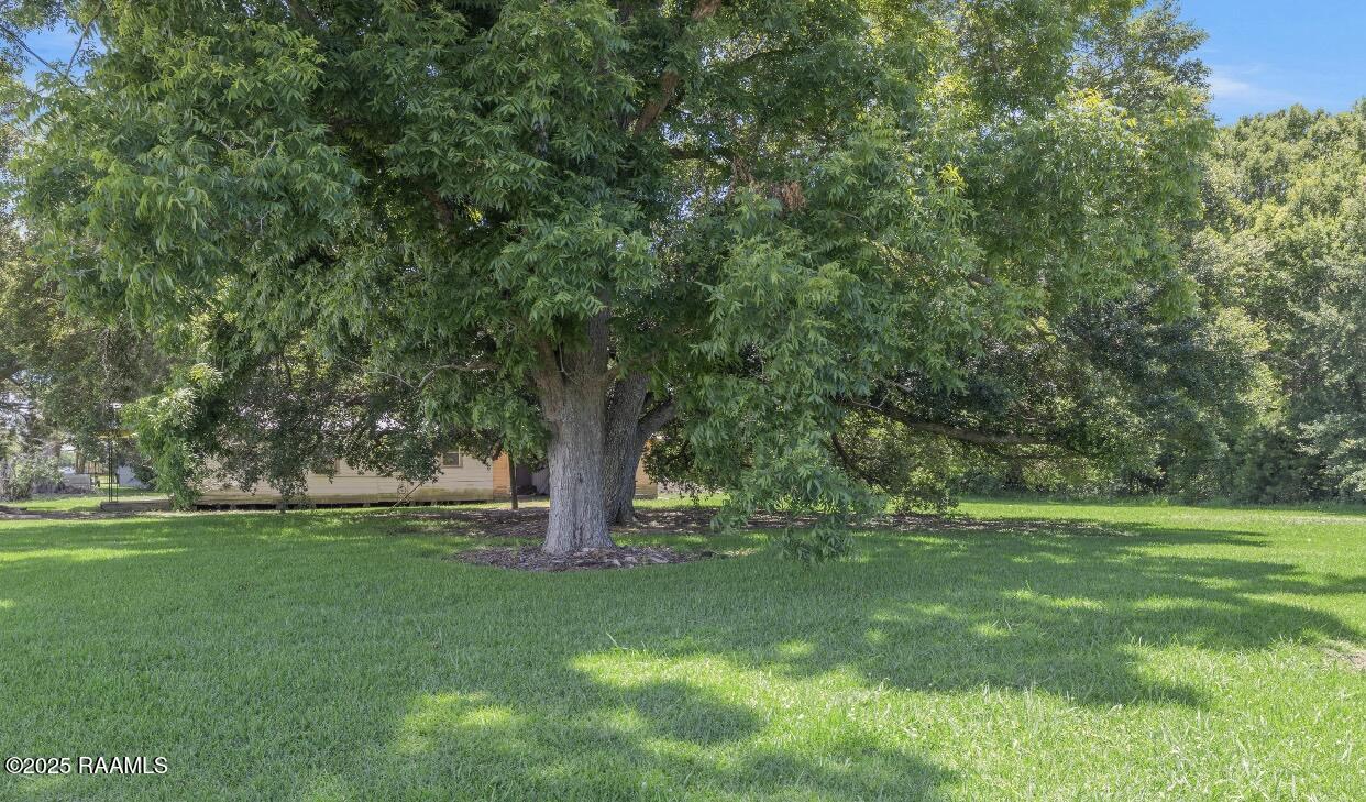 6601 Gondron Road St. Martinville, LA 70582 - Photo 8 of 11 IMG_8075