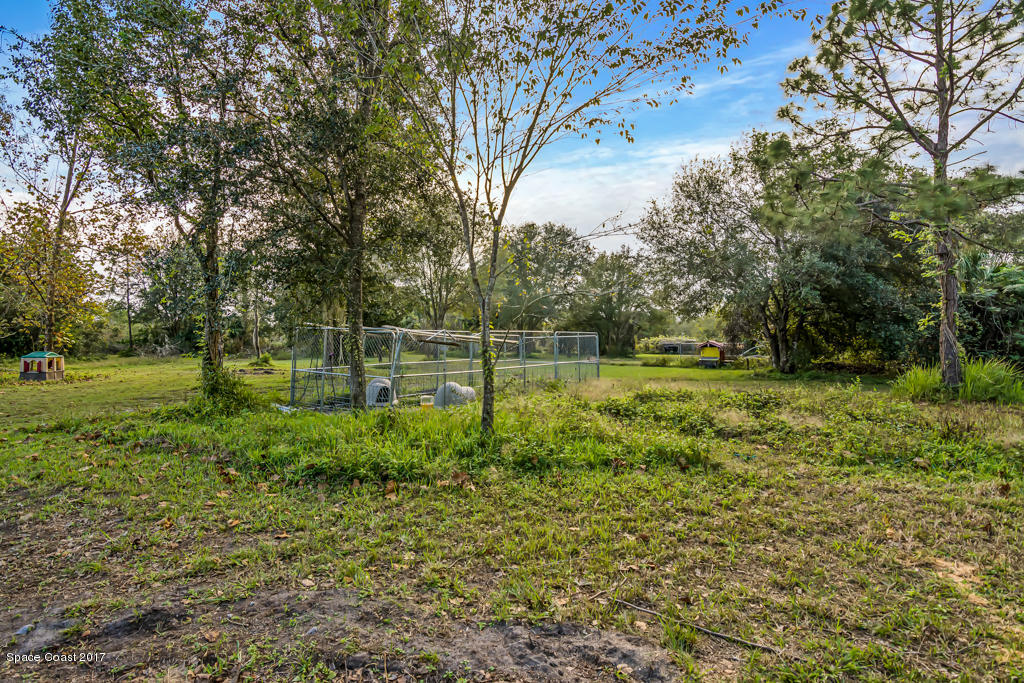 4510 Hog Valley Road Mims, FL 32754 - Photo 11 of 39 Kennels