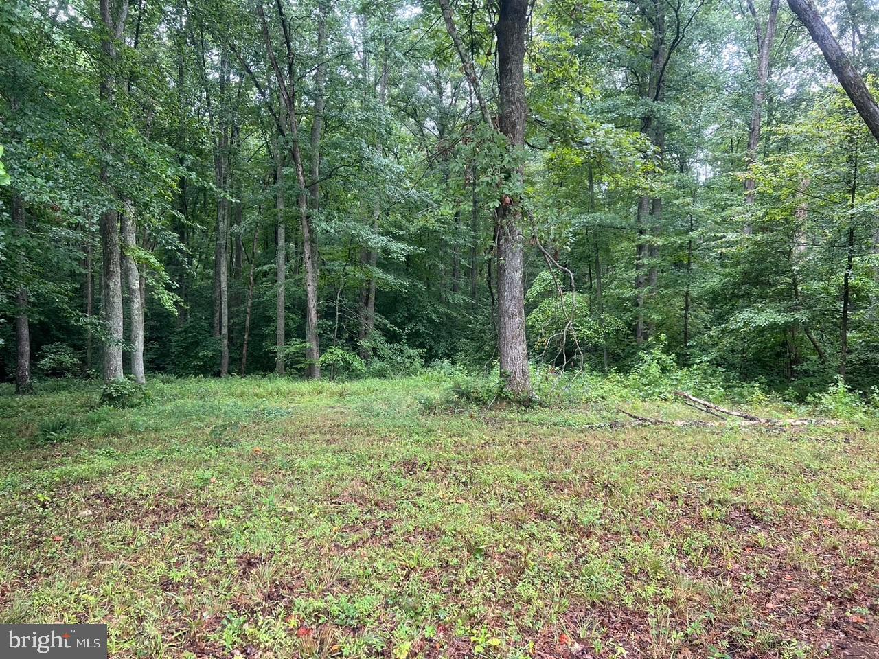 3012 Lewiston Road Bumpass, VA 23024 - Photo 3 of 6 Gallery Image 3