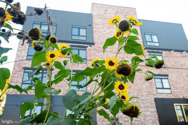 $425,000 | 3205 North 35th Street, Unit 11, Philadelphia, PA 19129