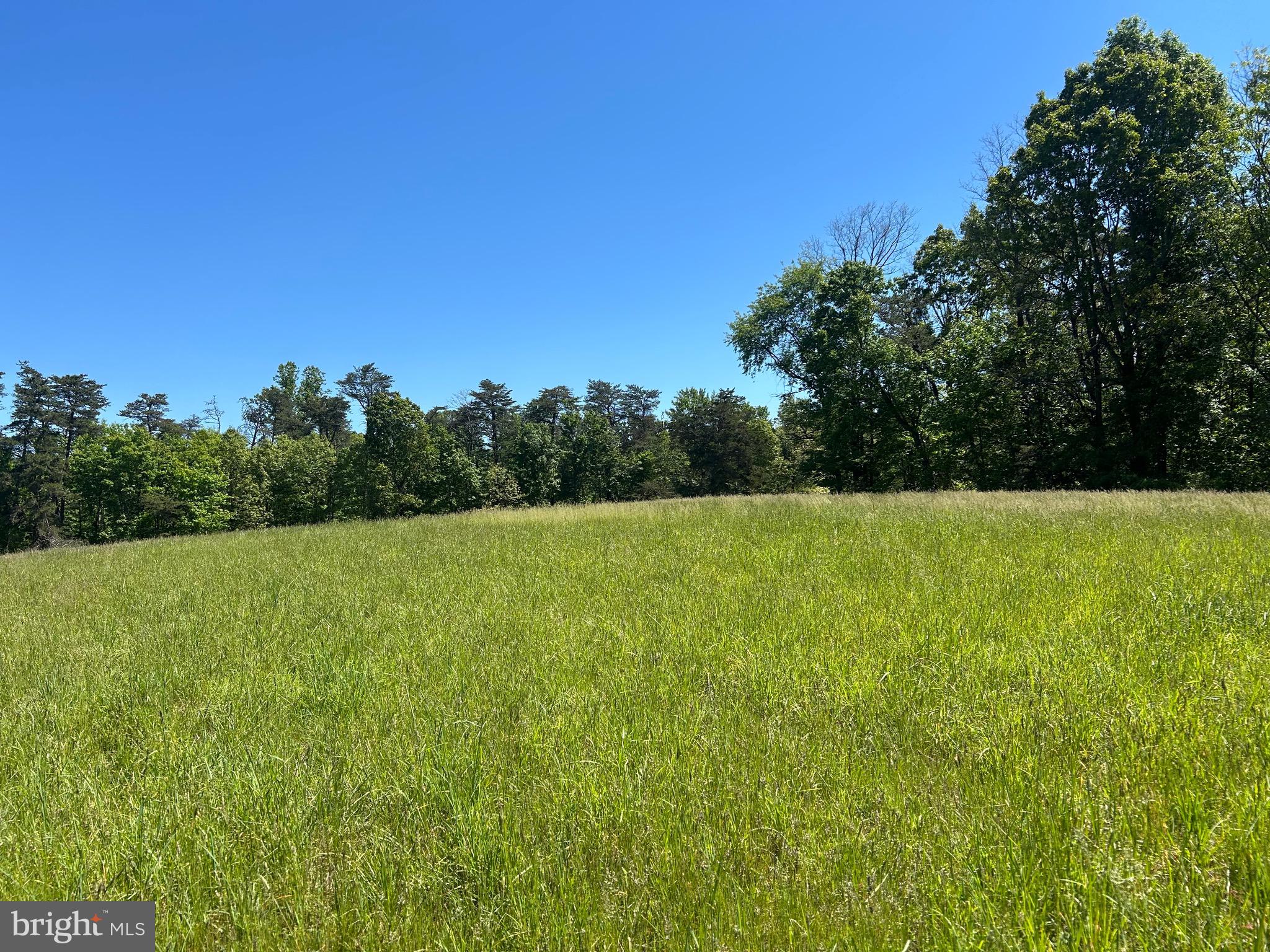 South Timber Ridge Road Cross Junction, VA 22625 - Photo 24 of 32 a view of a field with trees in the background