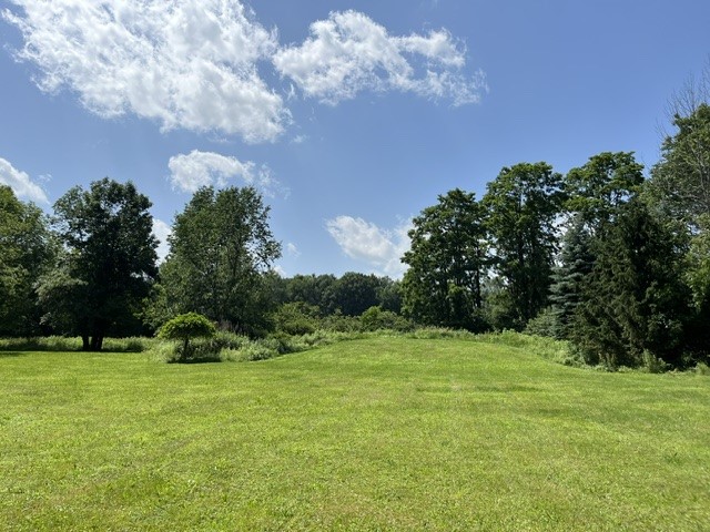 518 South Gilboa Road Gilboa, NY 12167 - Photo 9 of 32 side yard