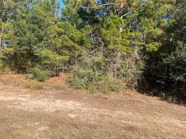 90 Crestview Crestview, FL 32539 - Photo 1 of 8 hwy 90 2