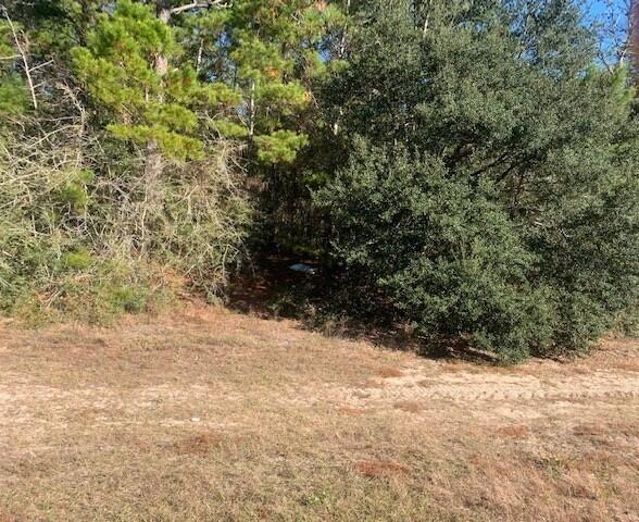 90 Crestview Crestview, FL 32539 - Photo 2 of 8 hwy. 90 1 (2)