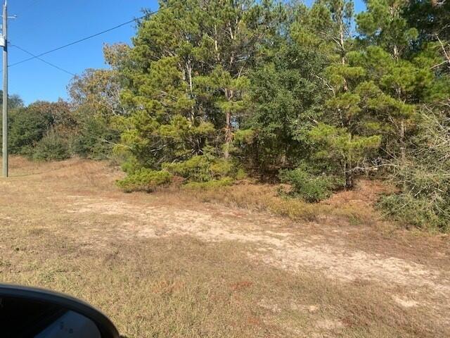 90 Crestview Crestview, FL 32539 - Photo 3 of 8 hwy. 90 3 (2)