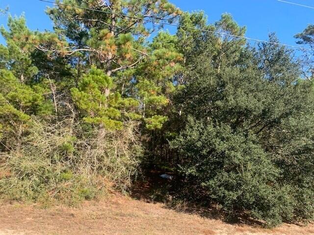 90 Crestview Crestview, FL 32539 - Photo 5 of 8 Hwy. 90 5