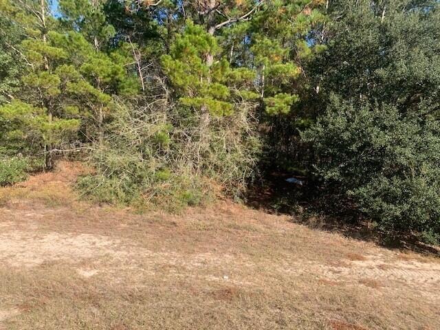 90 Crestview Crestview, FL 32539 - Photo 6 of 8 Hwy. 90 6