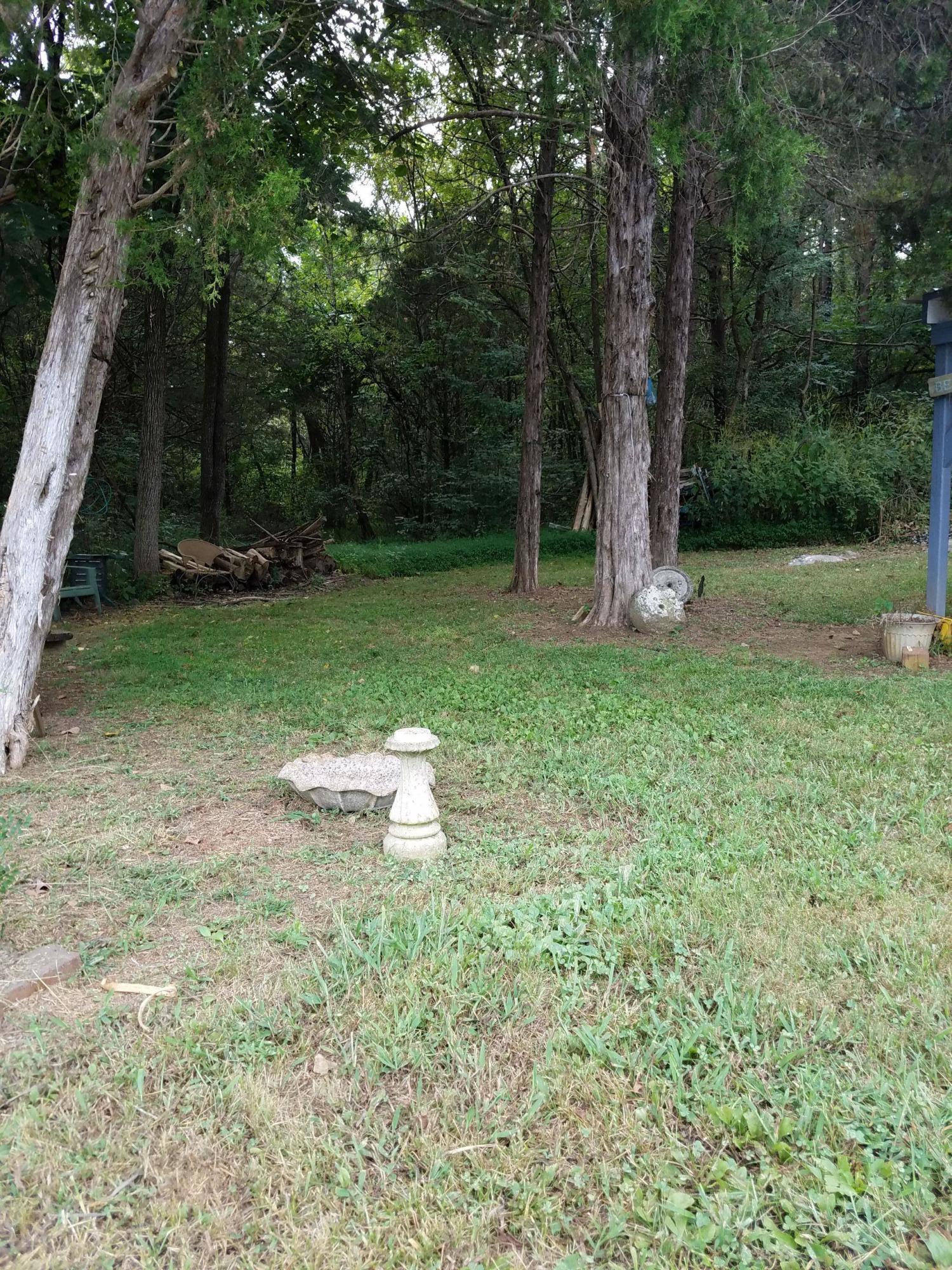 1795 Rocky Springs Road Bean Station, TN 37708 - Photo 3 of 13 %2F20180905_095716