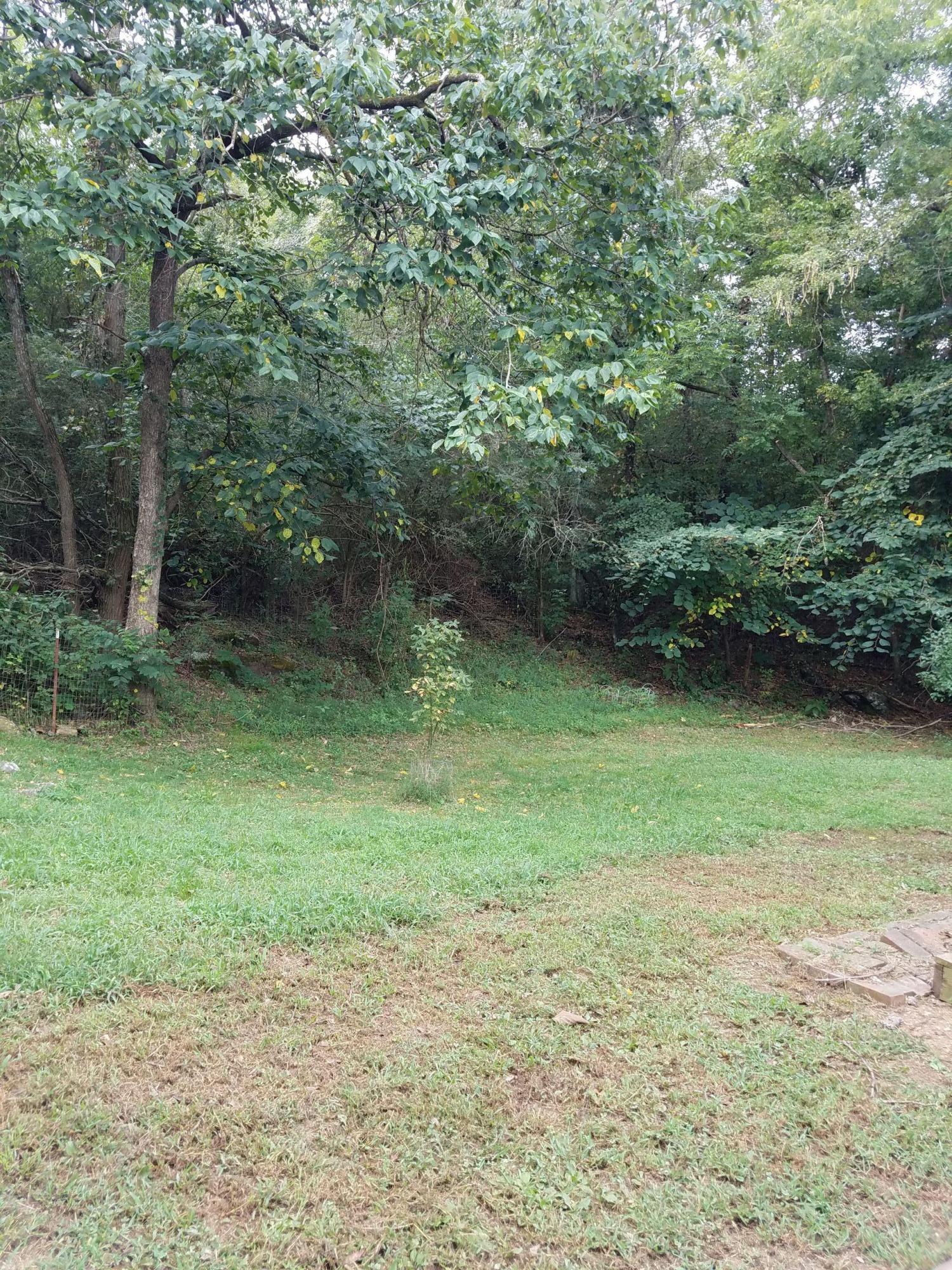 1795 Rocky Springs Road Bean Station, TN 37708 - Photo 6 of 13 %2F20180905_095737