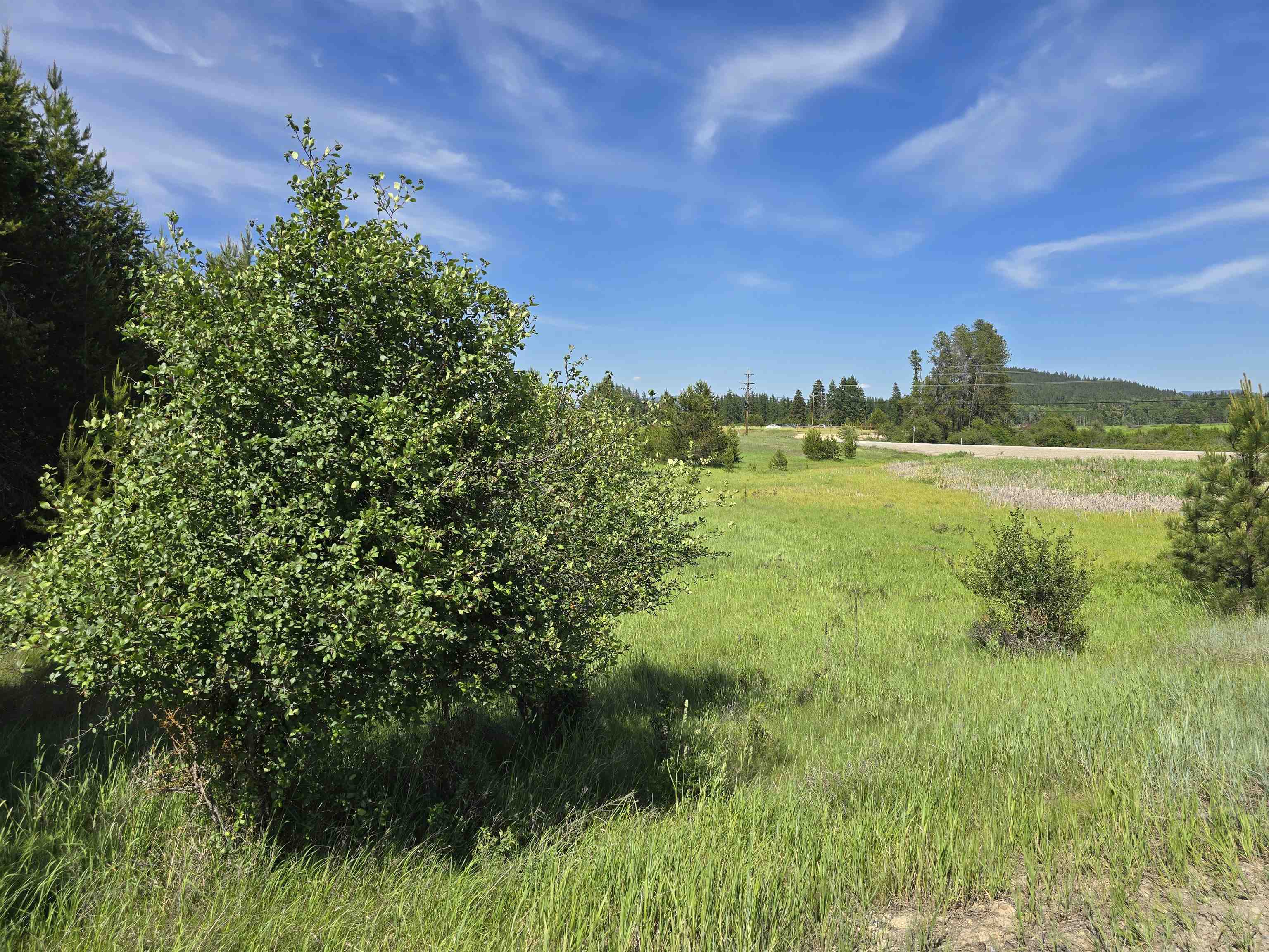 2020 Westside Calispell - Track Usk, WA 99180 - Photo 15 of 17