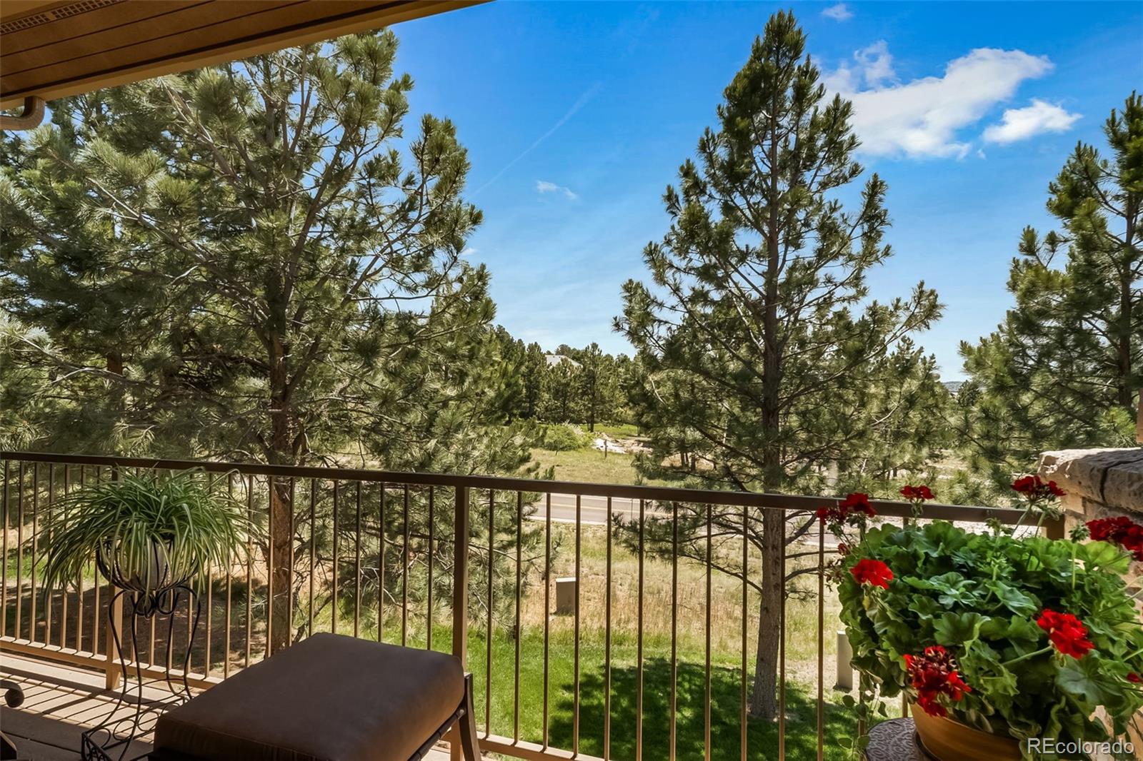 4316 Chateau Ridge Road Castle Rock, CO 80108 - Photo 17 of 39