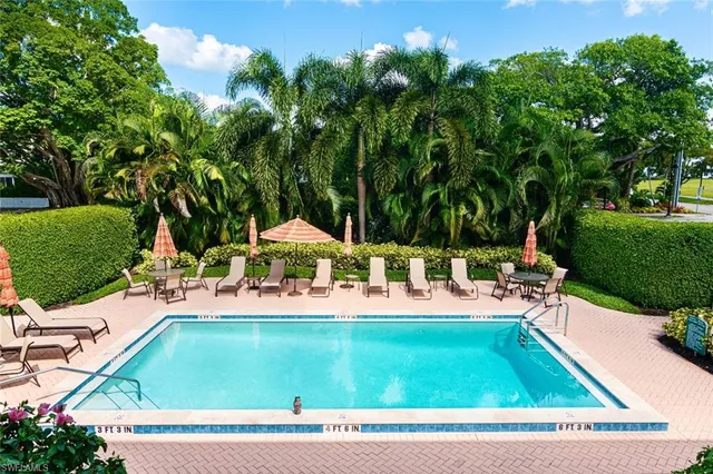 a view of a swimming pool with lawn chairs and plants