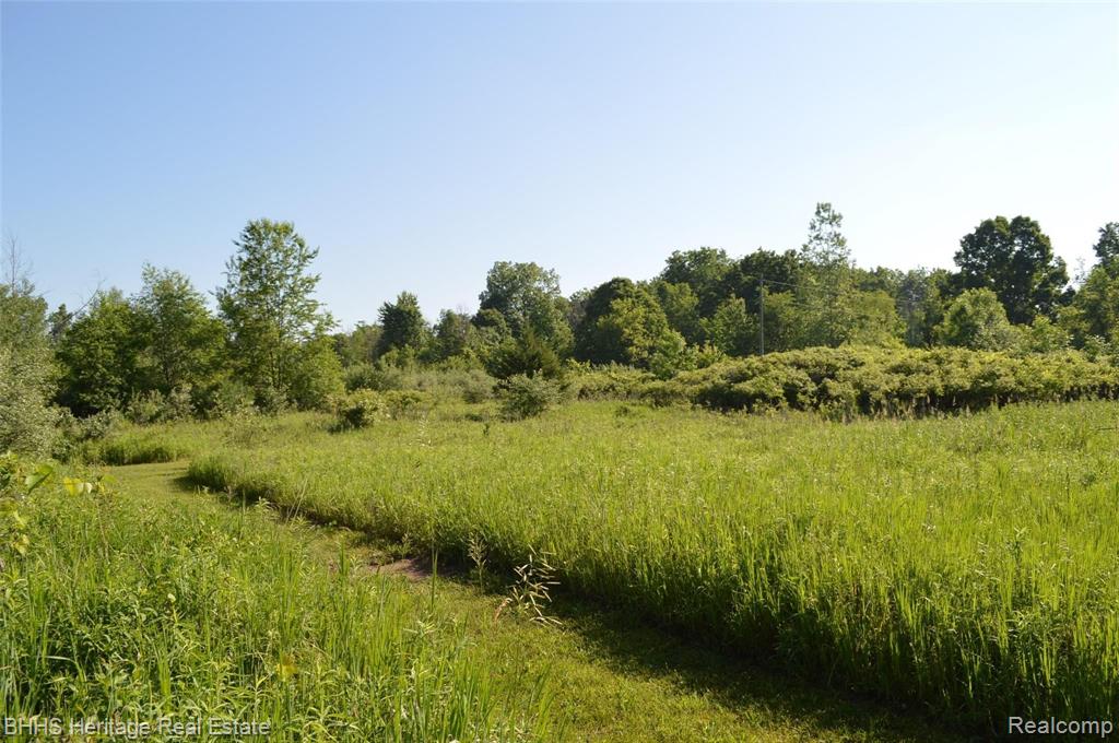 Vl North Nicholson Road Fowlerville, MI 48836 - Photo 2 of 7