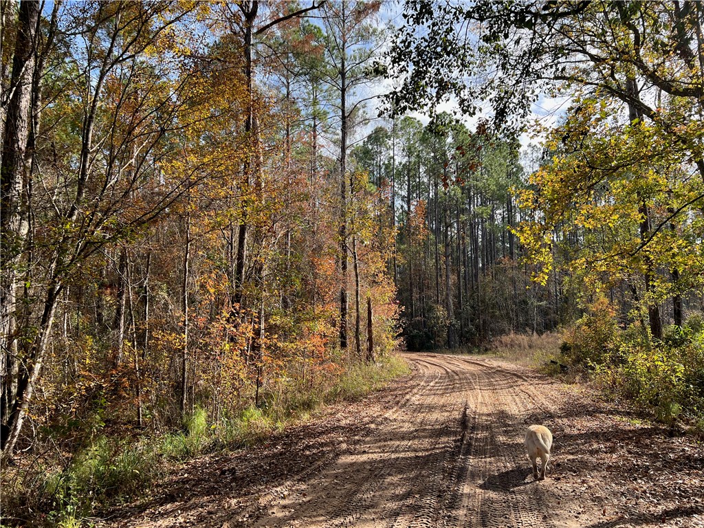 261 Bluff Road South White Oak, GA 31568 - Photo 18 of 26