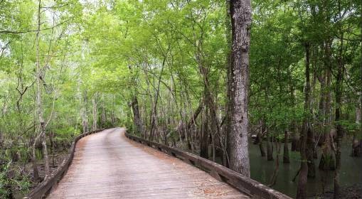 261 Bluff Road South White Oak, GA 31568 - Photo 24 of 26
