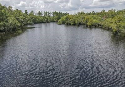 261 Bluff Road South White Oak, GA 31568 - Photo 26 of 26