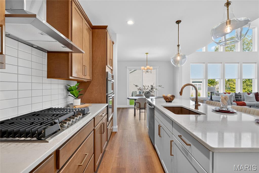 301 Switchgrass Landing Lane Cottleville, MO 63304 - Photo 41 of 69