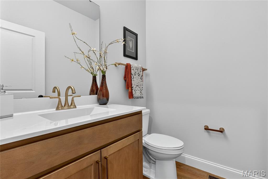 301 Switchgrass Landing Lane Cottleville, MO 63304 - Photo 55 of 69