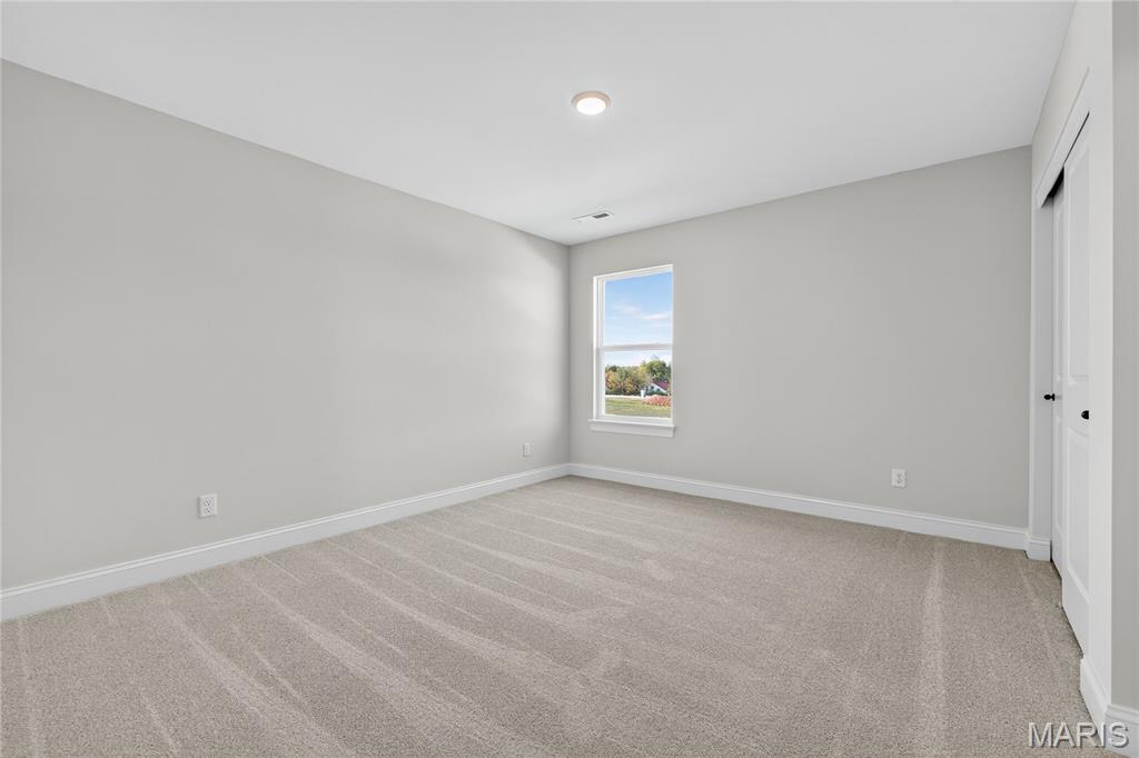 301 Switchgrass Landing Lane Cottleville, MO 63304 - Photo 69 of 69