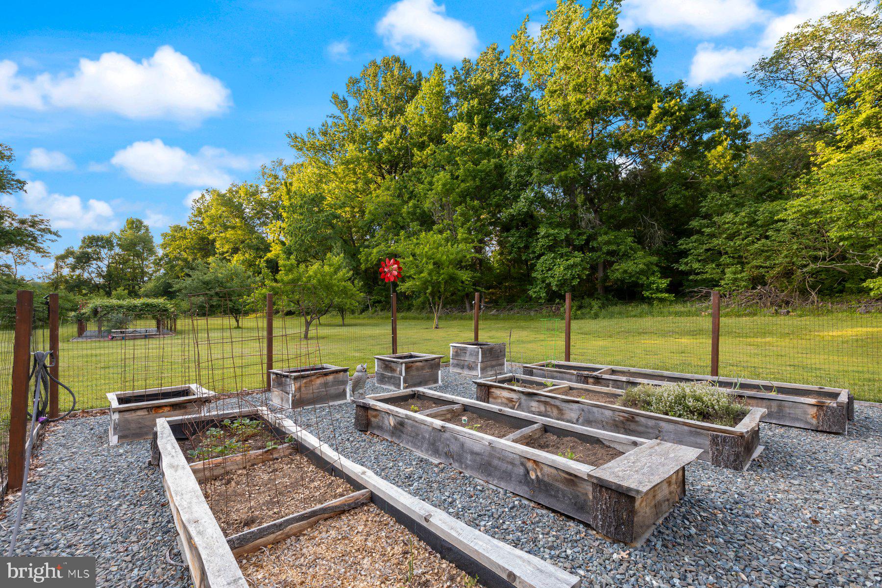 2307 Church Road Bowie, MD 20721 - Photo 62 of 89 Vegetable garden