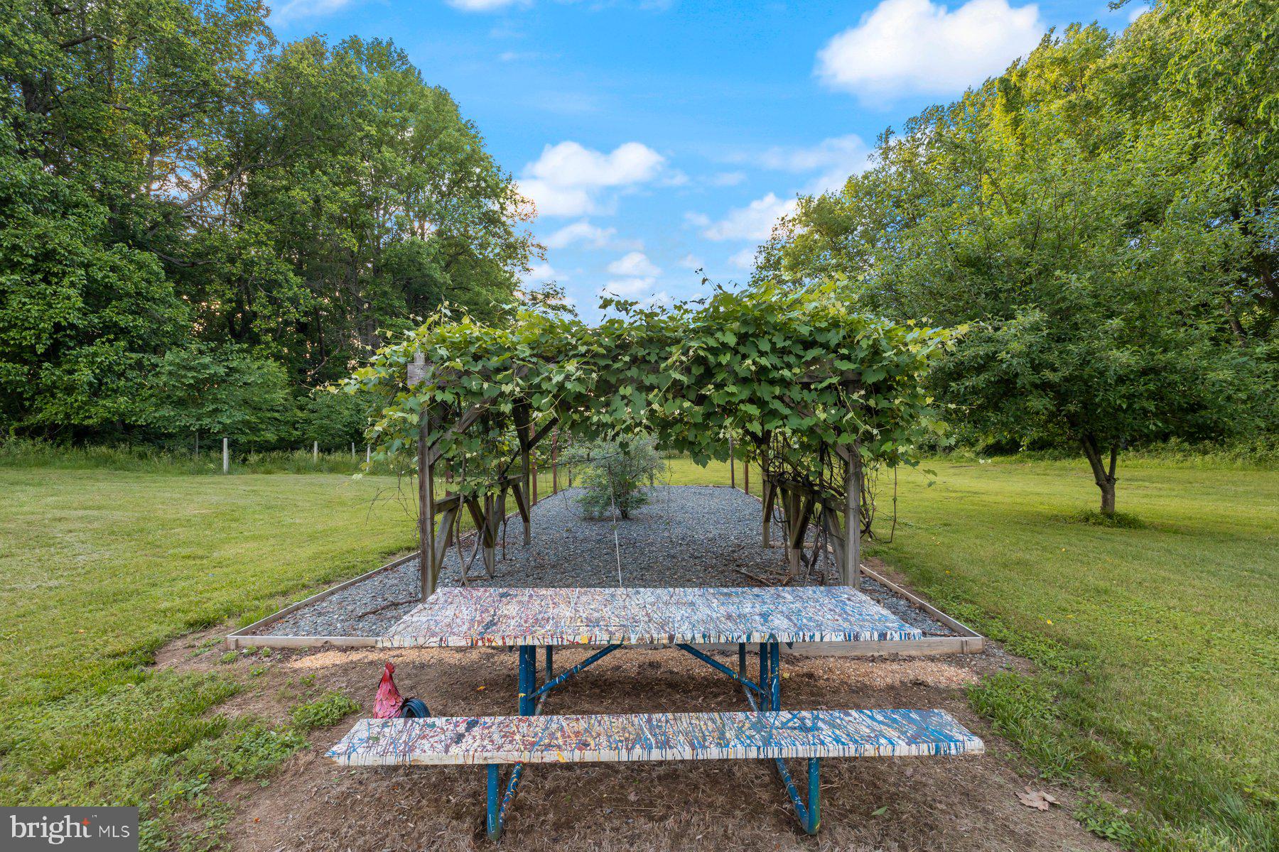 2307 Church Road Bowie, MD 20721 - Photo 63 of 89 Grape arbor/entrance to blueberry patch