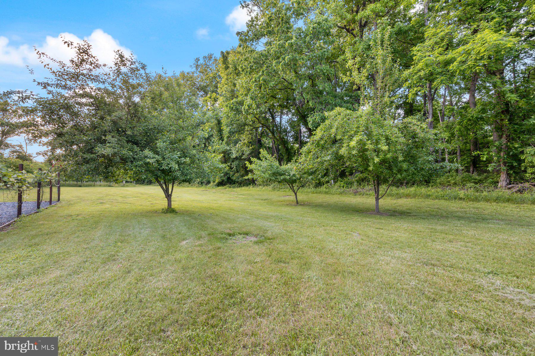 2307 Church Road Bowie, MD 20721 - Photo 65 of 89 Exterior grounds