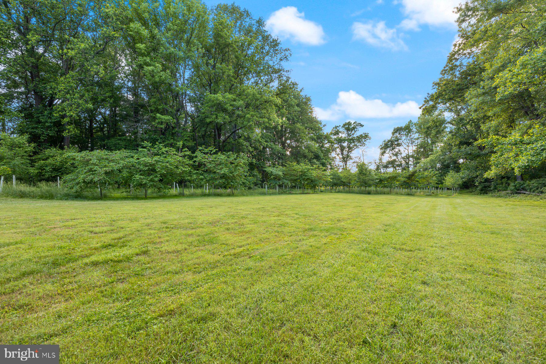 2307 Church Road Bowie, MD 20721 - Photo 67 of 89 Exterior grounds