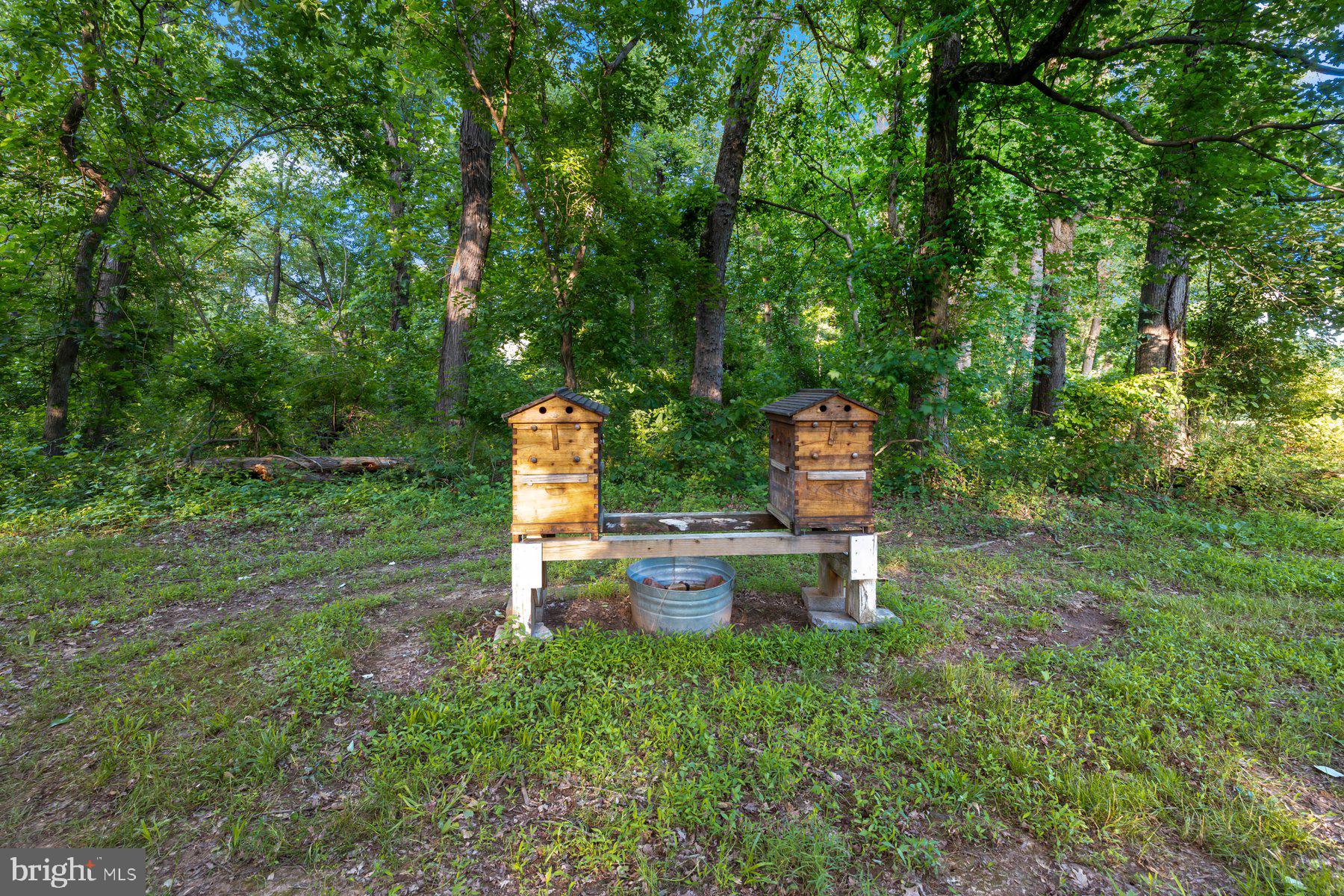 2307 Church Road Bowie, MD 20721 - Photo 69 of 89 Bee hives