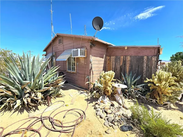 a view of a backyard with plants