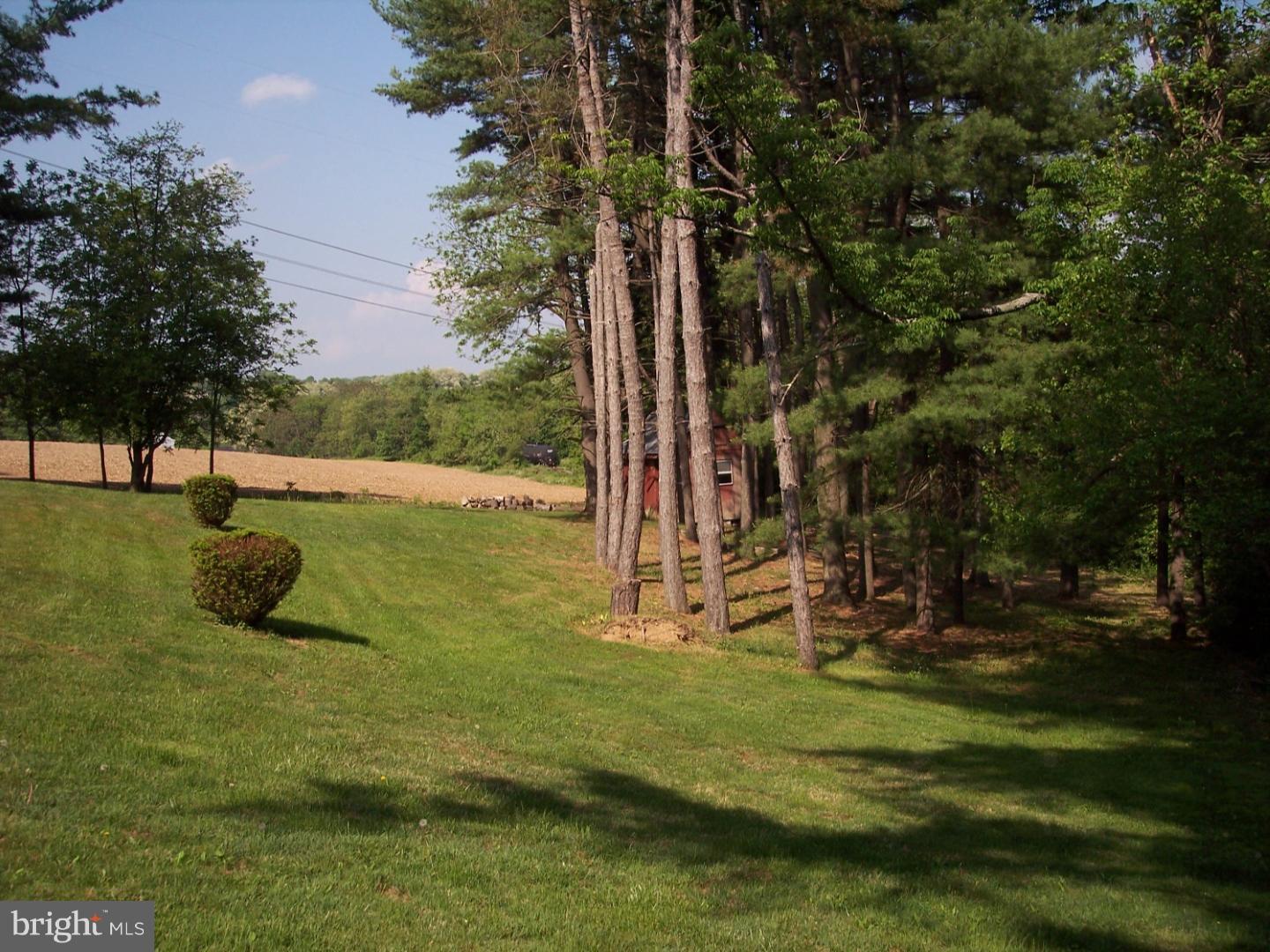 4010 Church View Road Emmaus, PA 18049 - Photo 18 of 23 Gallery Image 18