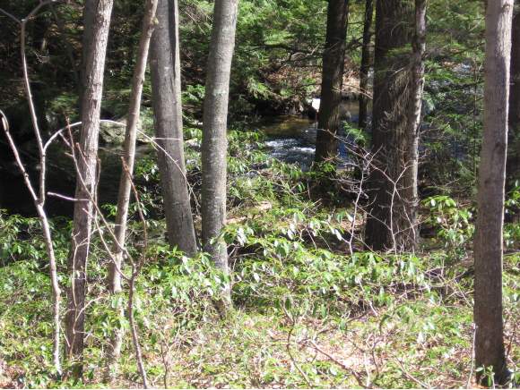 Howe Drive Lyndeborough, NH 03082 - Photo 1 of 1