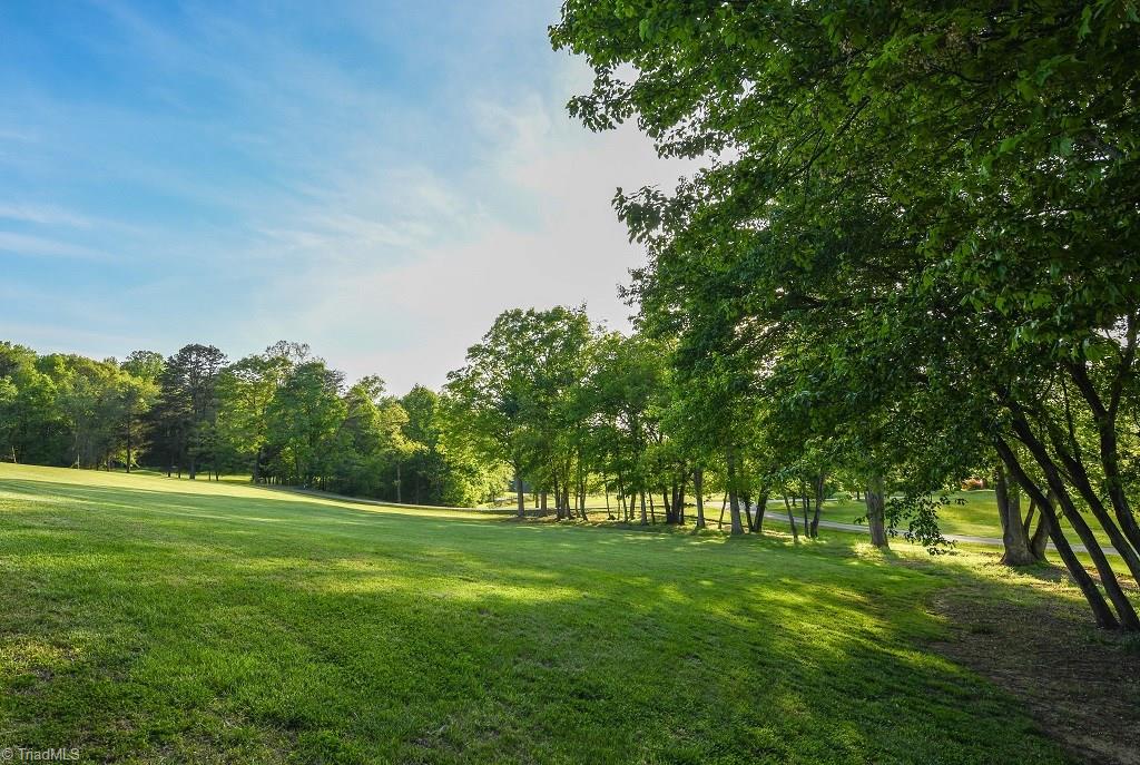 8010 Sapp Acres Lane Oak Ridge, NC 27310 - Photo 2 of 10