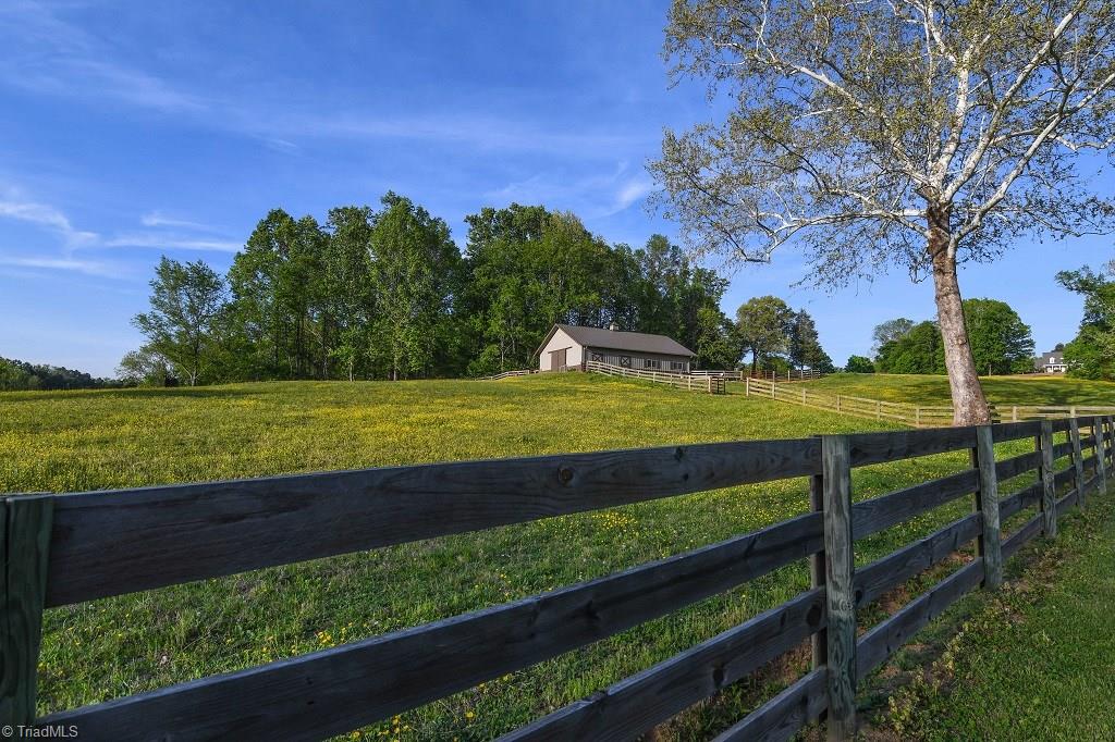 8010 Sapp Acres Lane Oak Ridge, NC 27310 - Photo 4 of 10