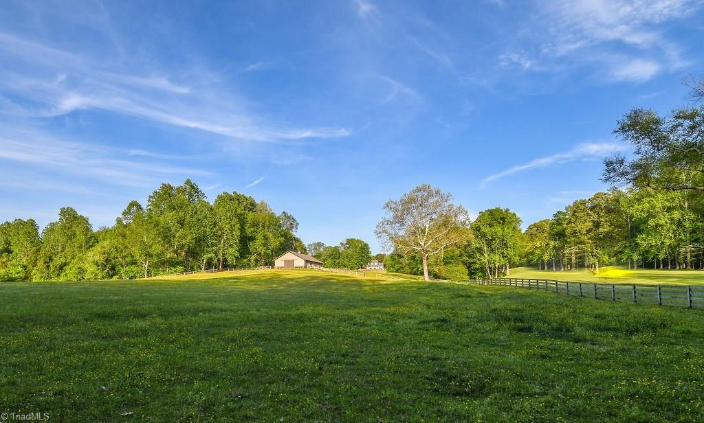 8010 Sapp Acres Lane Oak Ridge, NC 27310 - Photo 9 of 10