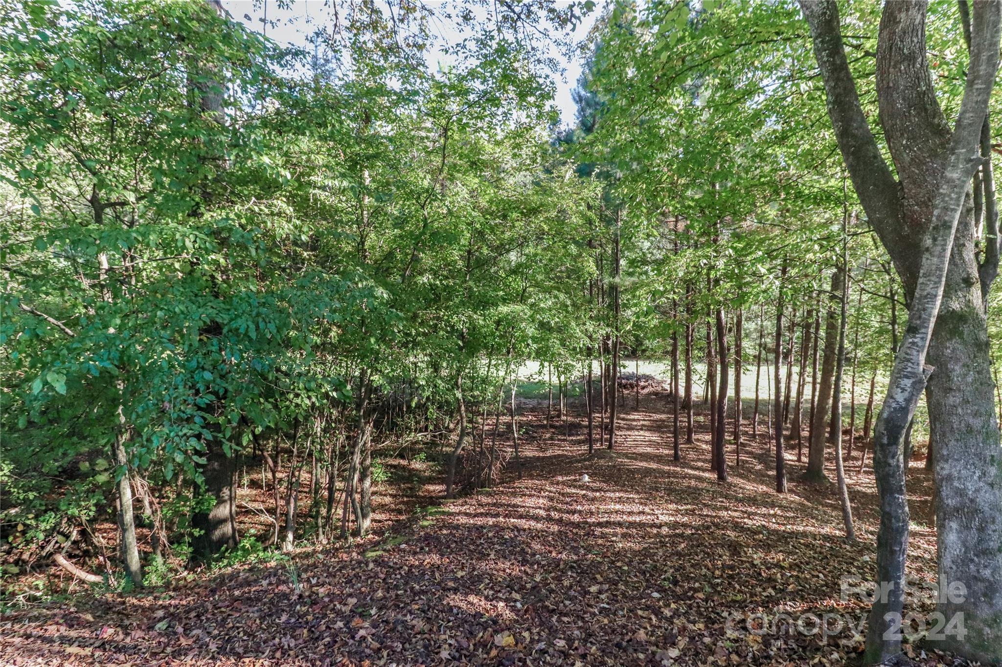 260 Streamwood Road Troutman, NC 28166 - Photo 46 of 48