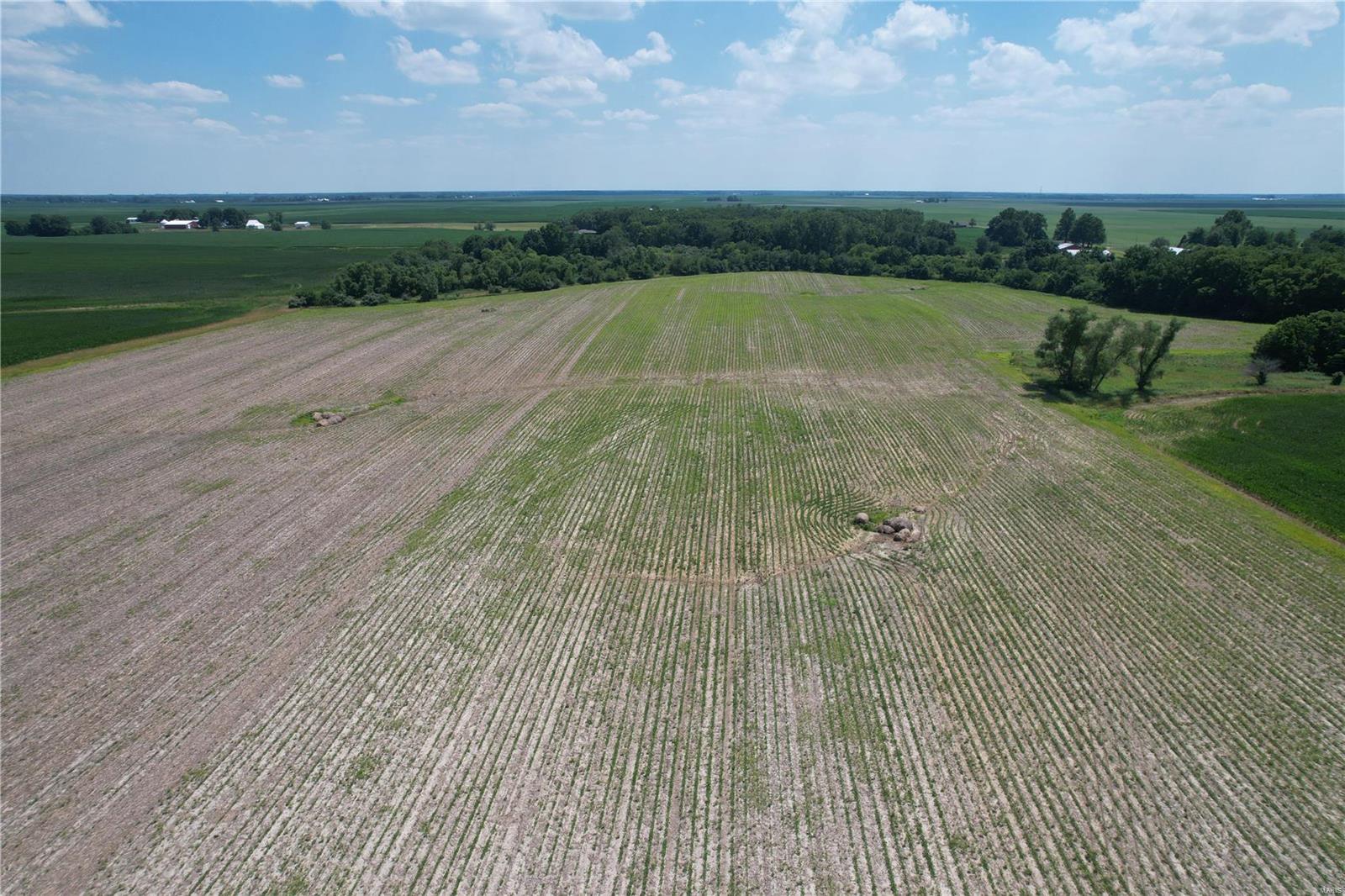 10898 Regency Road Carlinville, IL 62626 - Photo 4 of 36