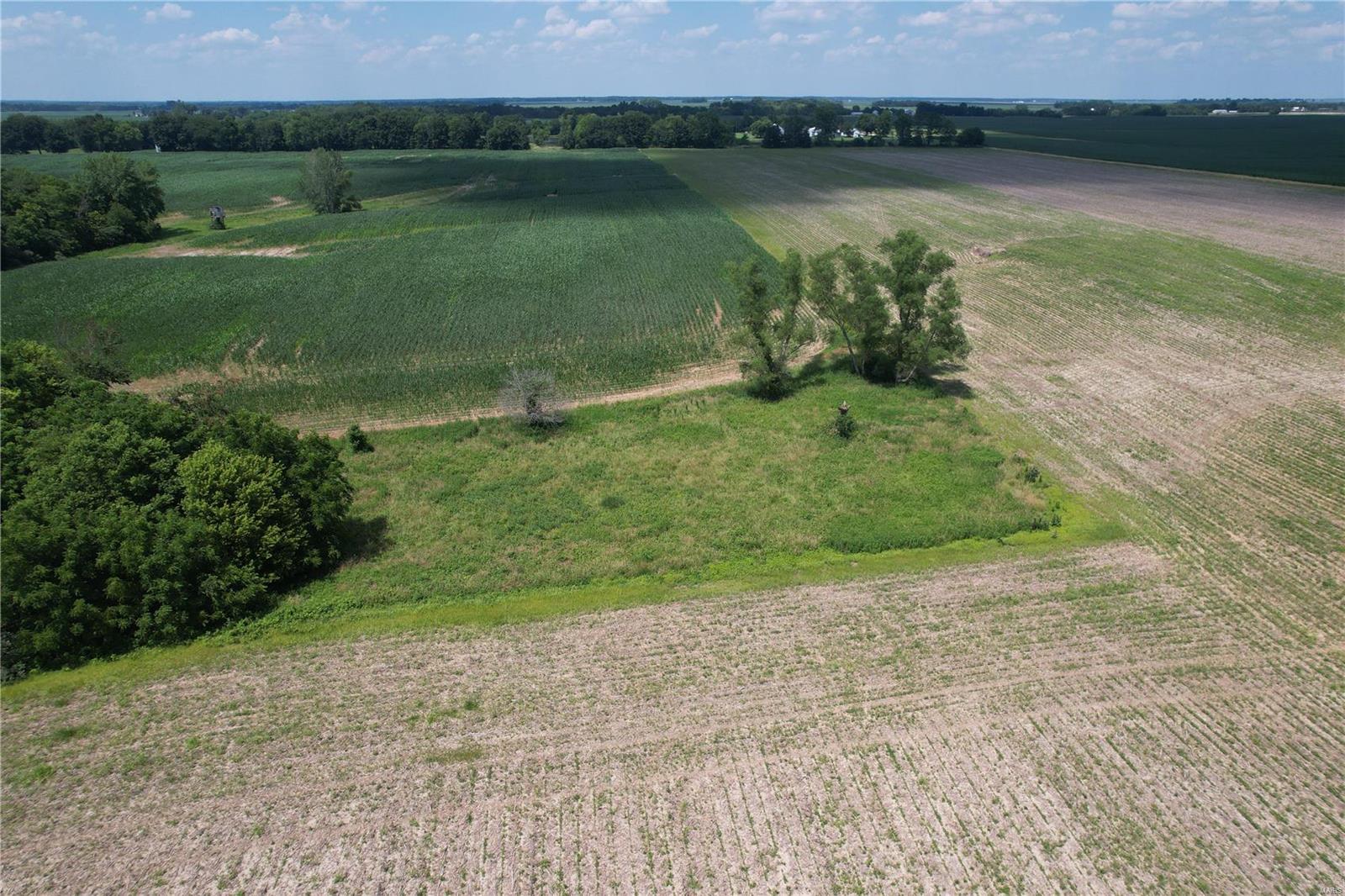 10898 Regency Road Carlinville, IL 62626 - Photo 6 of 36
