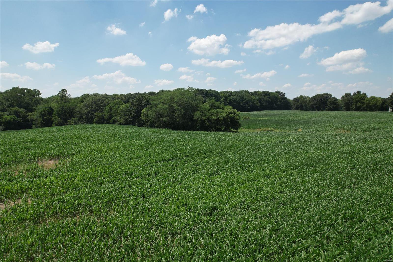 10898 Regency Road Carlinville, IL 62626 - Photo 7 of 36