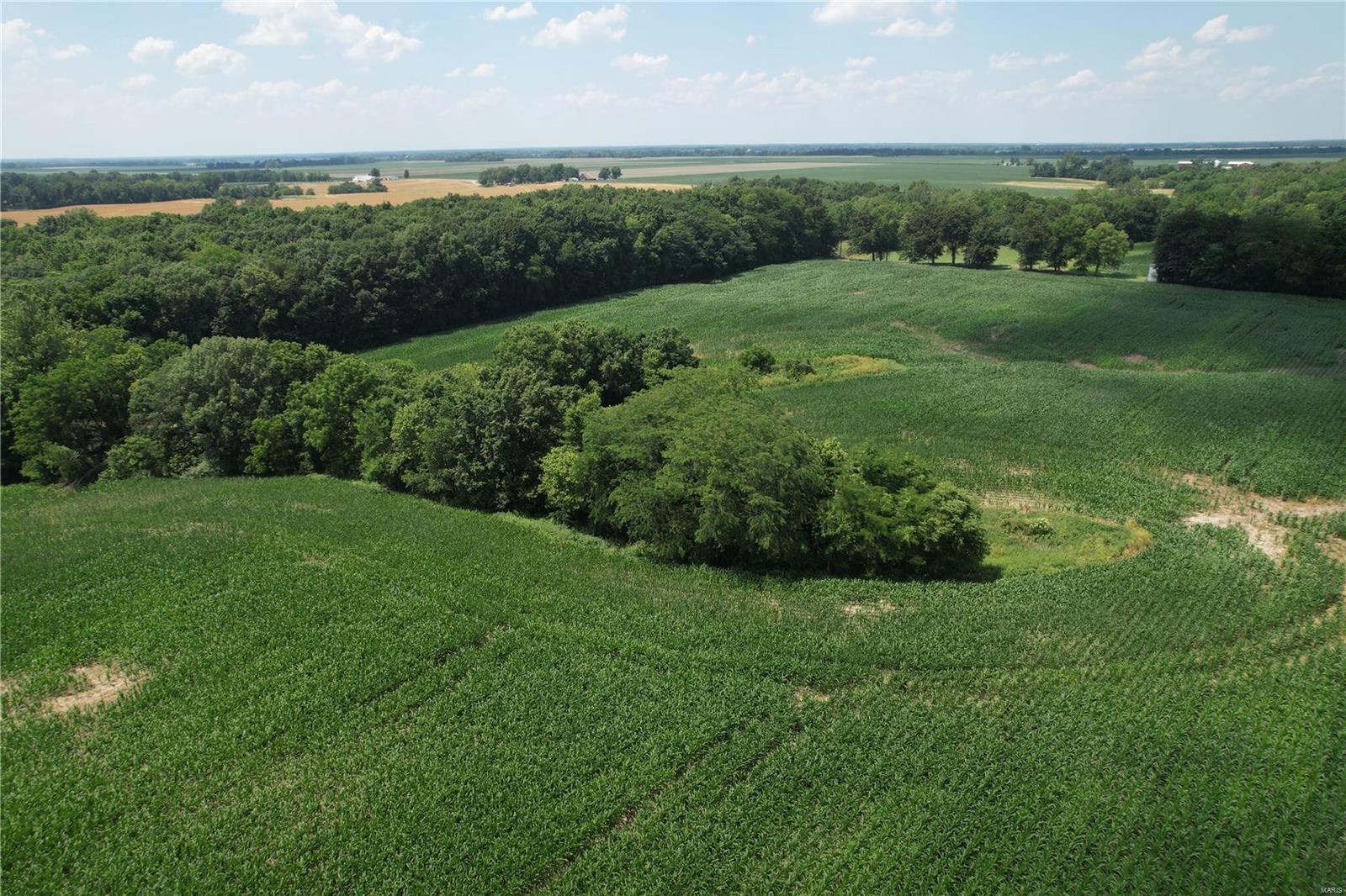 10898 Regency Road Carlinville, IL 62626 - Photo 8 of 36