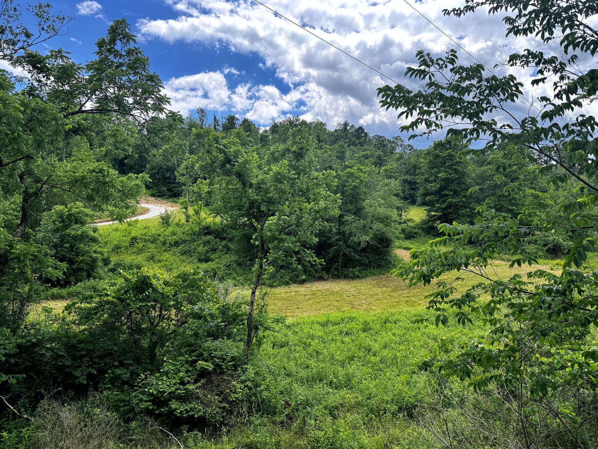 0 Barr Hollow Road Reedsville, OH 45772 - Photo 10 of 15 CT-10
