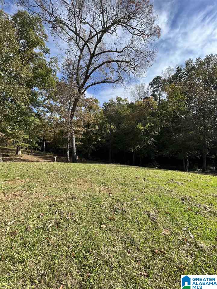 127 County Road 14 Fruithurst, AL 36262 - Photo 7 of 22