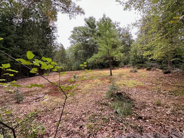 212 Rocky Road Northport, ME 04849 - Photo 64 of 81 unnamed (78)