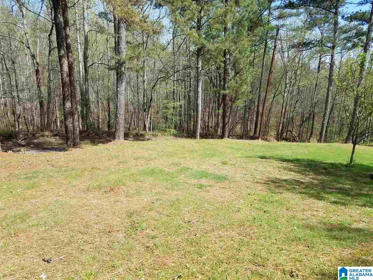 260 Scarum Creek Road Hayden, AL 35079 - Photo 12 of 21