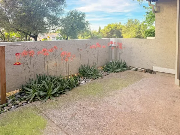 a front view of a building with a tree