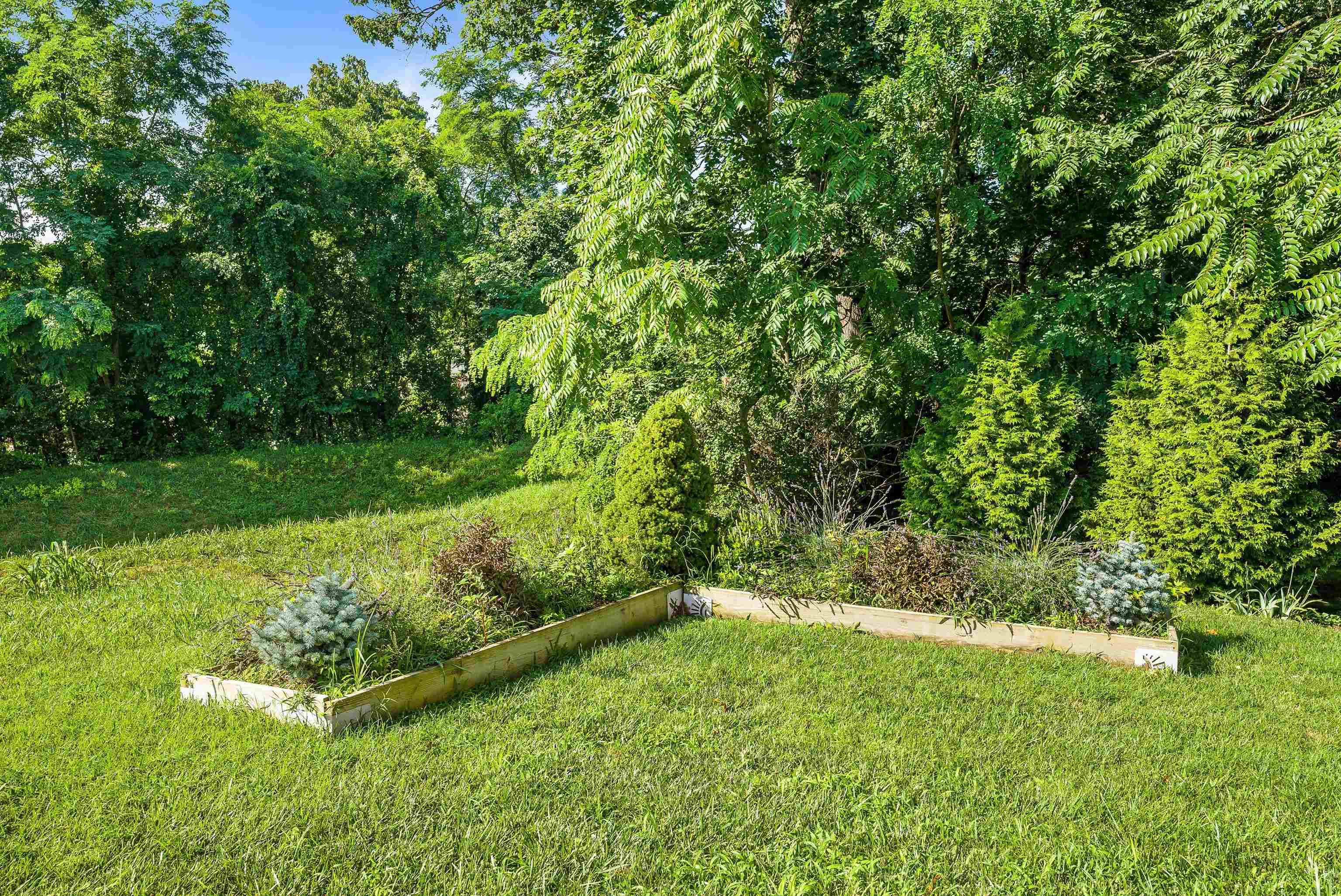 229 Forest Ridge Road Staunton, VA 24401 - Photo 59 of 70 Gallery Image 59