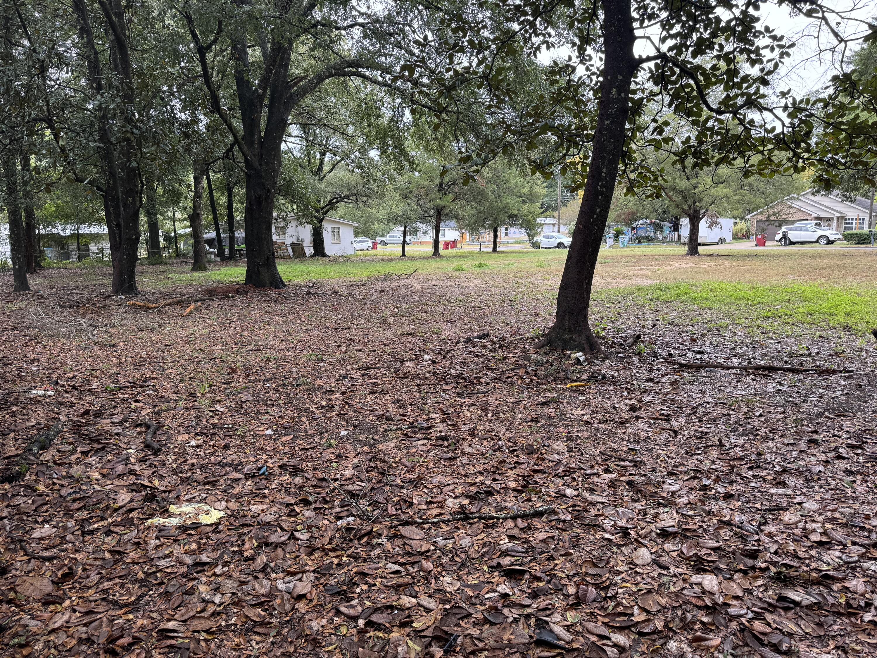 175 Mc Arthur Street Crestview, FL 32539 - Photo 3 of 3 a view of a yard with a tree
