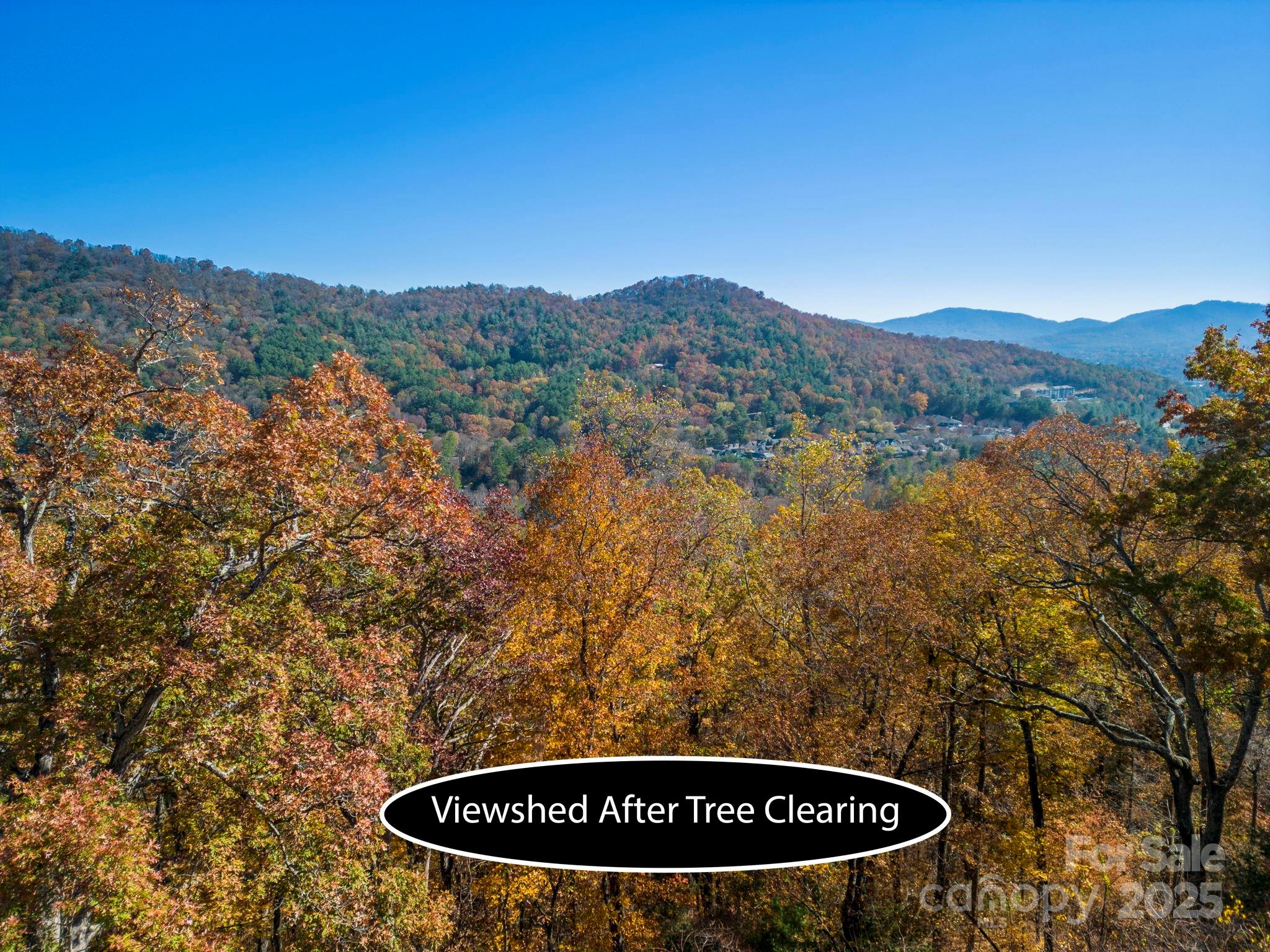 0 Vance Gap Road Asheville, NC 28805 - Photo 11 of 17