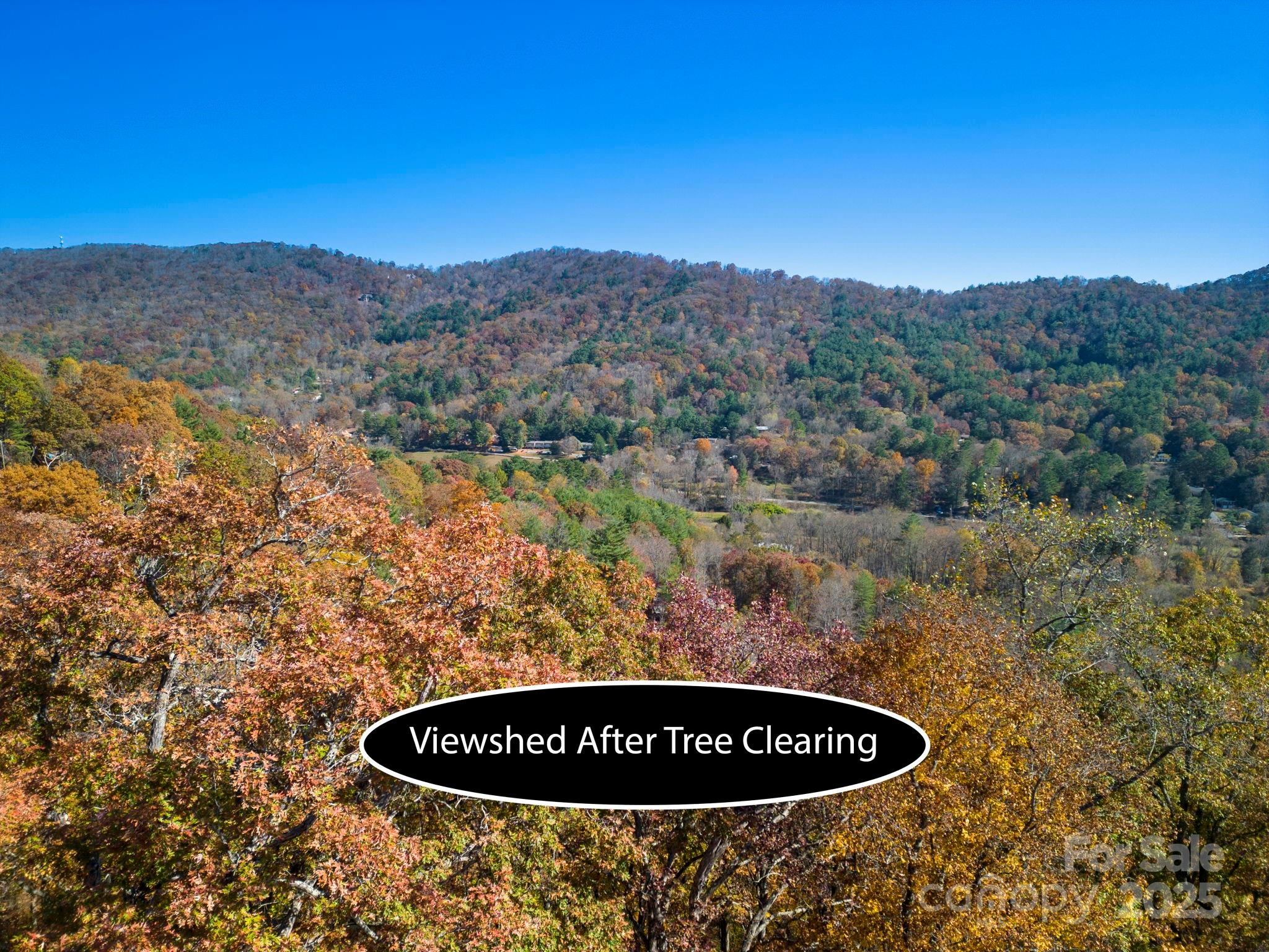 0 Vance Gap Road Asheville, NC 28805 - Photo 12 of 17