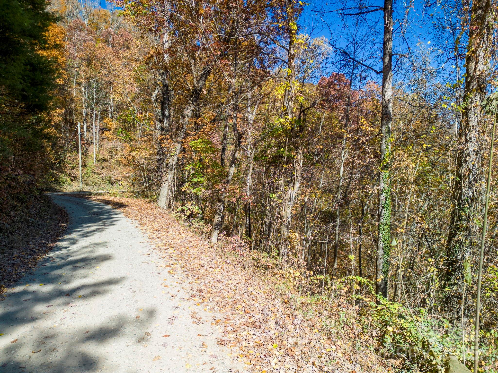 0 Vance Gap Road Asheville, NC 28805 - Photo 13 of 17